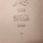 Sahih-i Buhari Muhtasarı - Tecrid-i Sarih Tercümesi