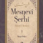 Mesnevi Şerhi