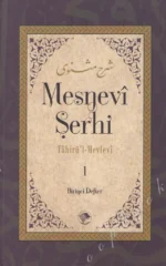 Mesnevi Şerhi