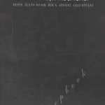 Halim Efendi'nin Meşk Mecmuası - Nesih, Sülüs-Nesih, Rik'a, Divani, Celi Divani
